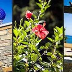 Ξενοδοχείο Monti E Mare Αλάσιο