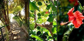 酒店 Monti E Mare 阿拉西奥